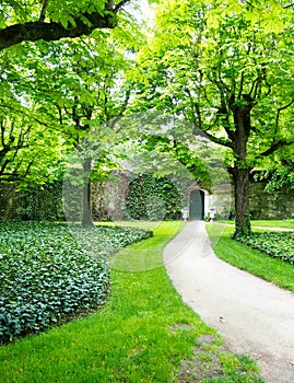 Path to Door Secret Garden Ivy Stone Wall