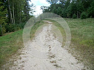 The Path to Duck Pond