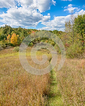 Path to Fall, Bald Mountain Recreation Area, Orion, MI