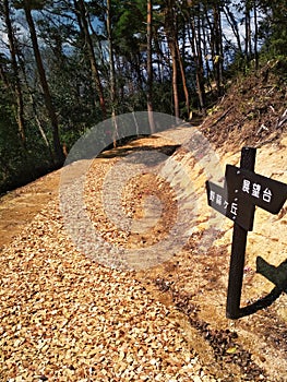 A Path to the Hill - Higashi Matsushima