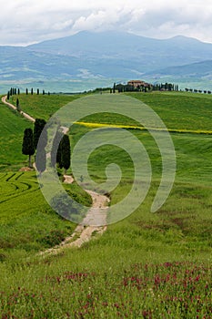 Path to hill house through cypress trees and sunrise view of stunning rural landscape