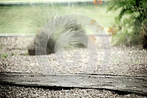 The Path to Knowledge