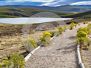 Path to Laguna de los Peces lagoon, Sanabria Lake Natural Park. Zamora province, Spain photo