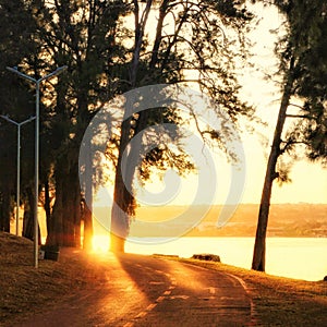 The path to the light at Paranoa Lake