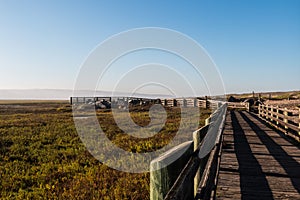 Path to Lookout Point at Tijuana River Estuarine