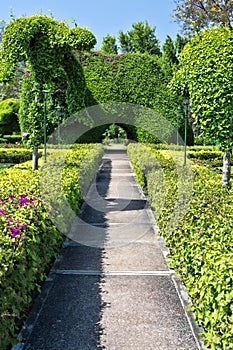 Path to the manicured bushes.