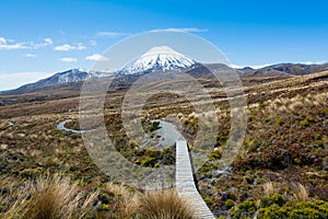 Path to Mount Ruapehu and Tama Lakes, Tongariro National Park, N