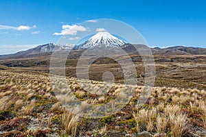 Path to Mount Ruapehu and Tama Lakes, Tongariro National Park, N