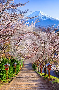 Path to Mt. Fuji in spring, Fujiyoshida, Japan