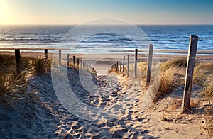 Path to North sea beach in gold sunshine