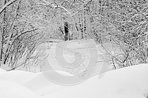 Path to nowhere in winter park.