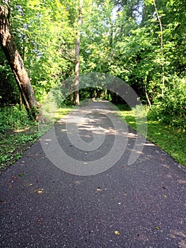 Path To Paradise - Golden Greenery