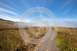 Path to Potato Harbor on North Bluff hiking trail on Santa Cruz island in the Channel Islands National Park off the gold coast of