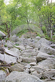 Path to Preikestolen 013