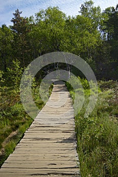 Path to Preikestolen