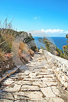 The path to Punta Campanella photo