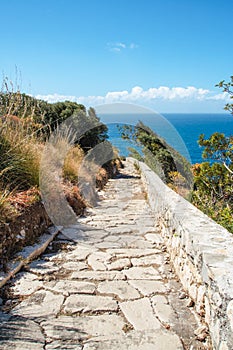 The path to Punta Campanella photo