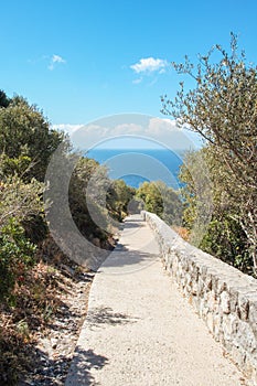 The path to Punta Campanella photo