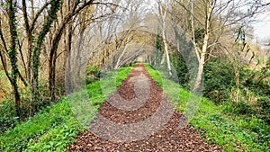 The path to quietness and bliss 2 photo