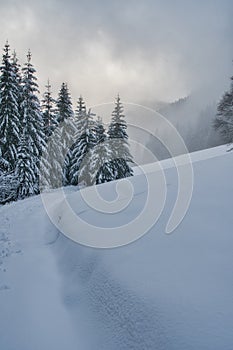 Cesta do Ráztockého sedla pod vrcholem Salatín v Nízkých Tatrách v zimě