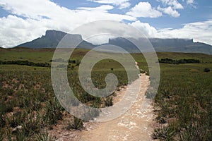 A path to Roraima photo