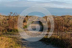 Path to Sand Beach