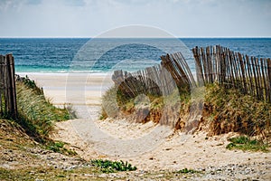 Path to sand beach with beachgrass. Way to the wide sandy beaches of the Atlantic.