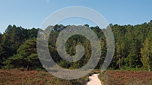 Path to the Schoorlse Duinen Dunes in North Holland, the Netherlands