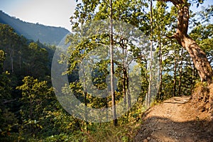 Path to Siddha Cave