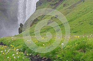 Path to Skogarfoss, Iceland