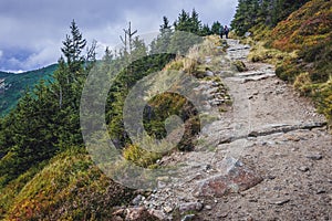 Path to Sniezka Mountain