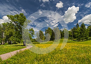 Path to spring park