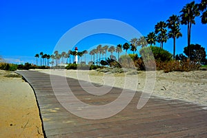 Path to theLighthouse