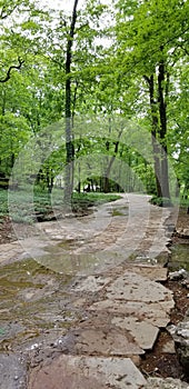 Path to Thorncrown Chapel