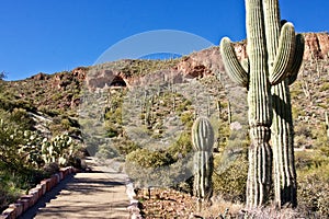 Path to Tonto National Monument photo