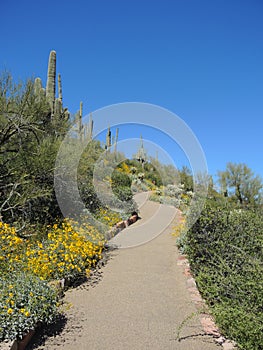 Path to Tonto National Monument