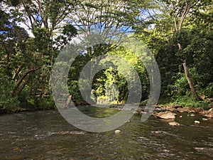 Path to Uluwehi Falls, Secret Falls in Summer in Wailua on Kauai Island in Hawaii.