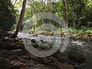 Path to Uluwehi Falls, Secret Falls in Summer in Wailua on Kauai Island in Hawaii.