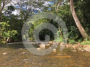 Path to Uluwehi Falls, Secret Falls in Summer in Wailua on Kauai Island in Hawaii.