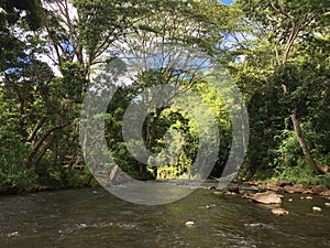 Path to Uluwehi Falls, Secret Falls in Summer in Wailua on Kauai Island in Hawaii.