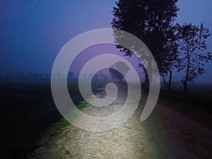Path to Village through Fields