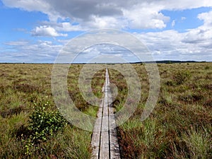 Path to the wilderness