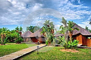 Path to wooden African chalets