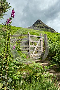 Path to Yewbarrow Mountain