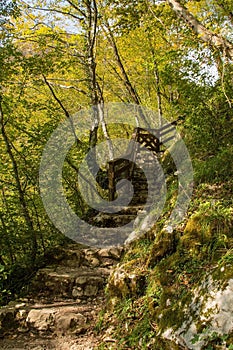 Path in Tolmin Gorge, Slovenia