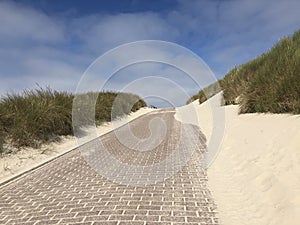 Path towards the beach on Vlieland photo