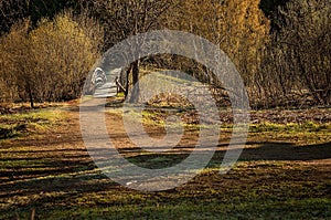 Path or trail going through a park with green grass or lawn, trees, bushes or shrubs, plants and an old rustic wooden bridge going