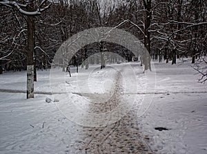 Path trampled in the snow-covered Park