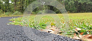 The path less traveled