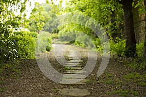 Path through trees